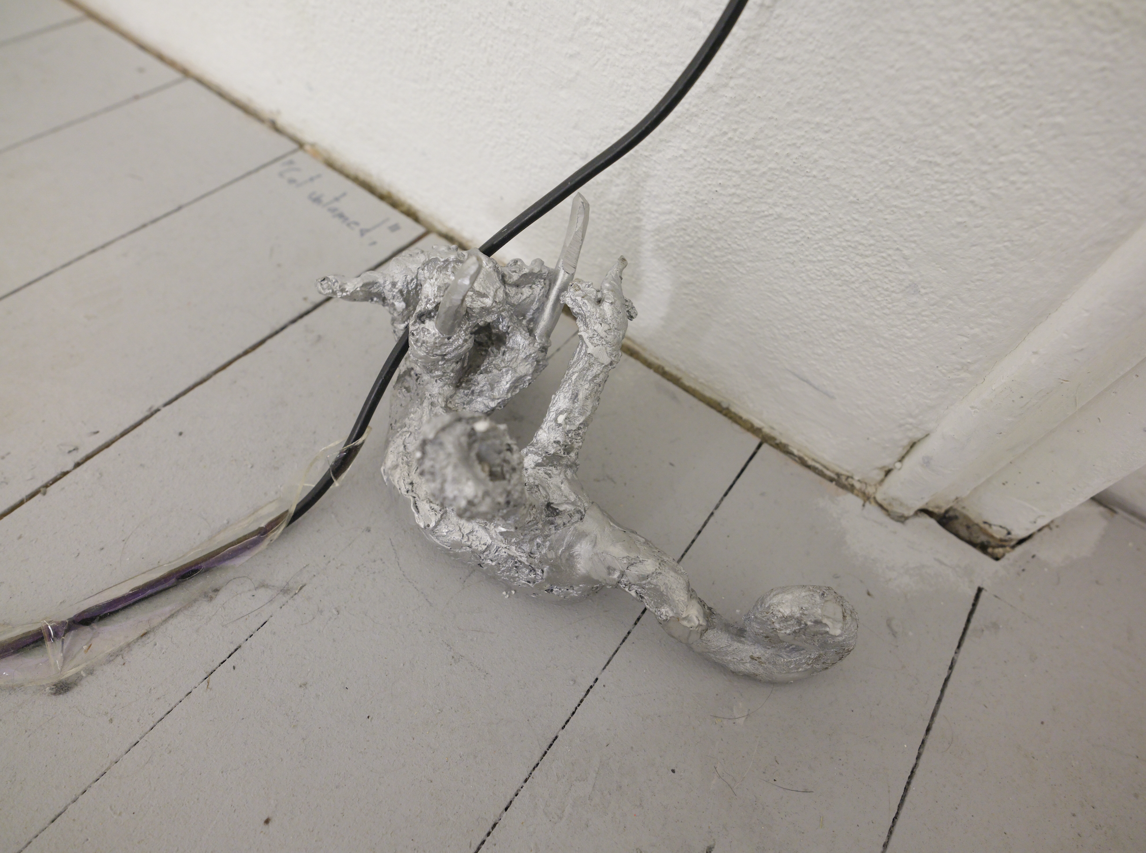 Cat untamed, 2026